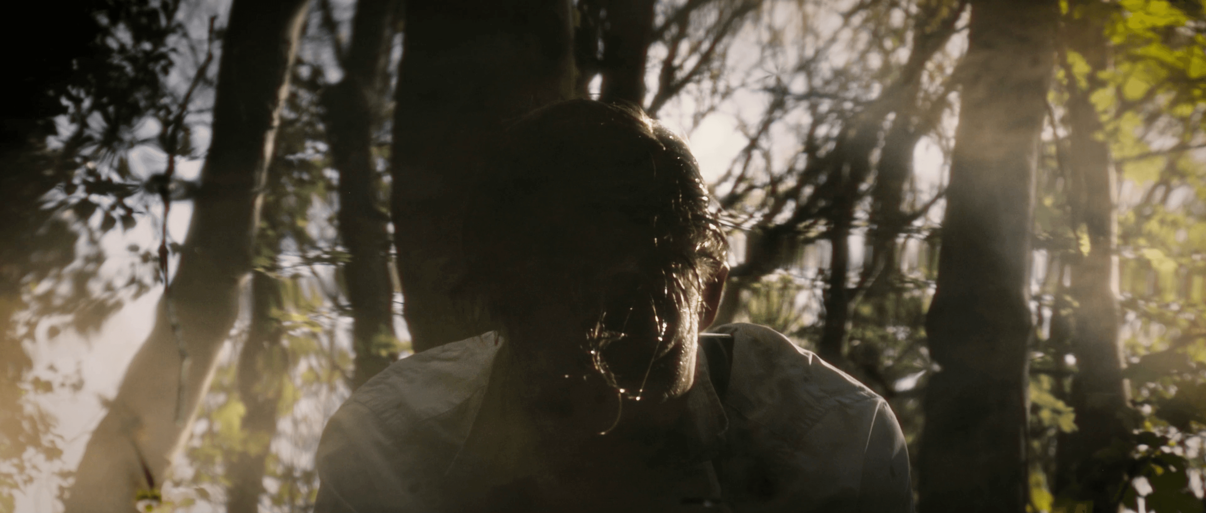 Si on etait... — vue détaillée du projet